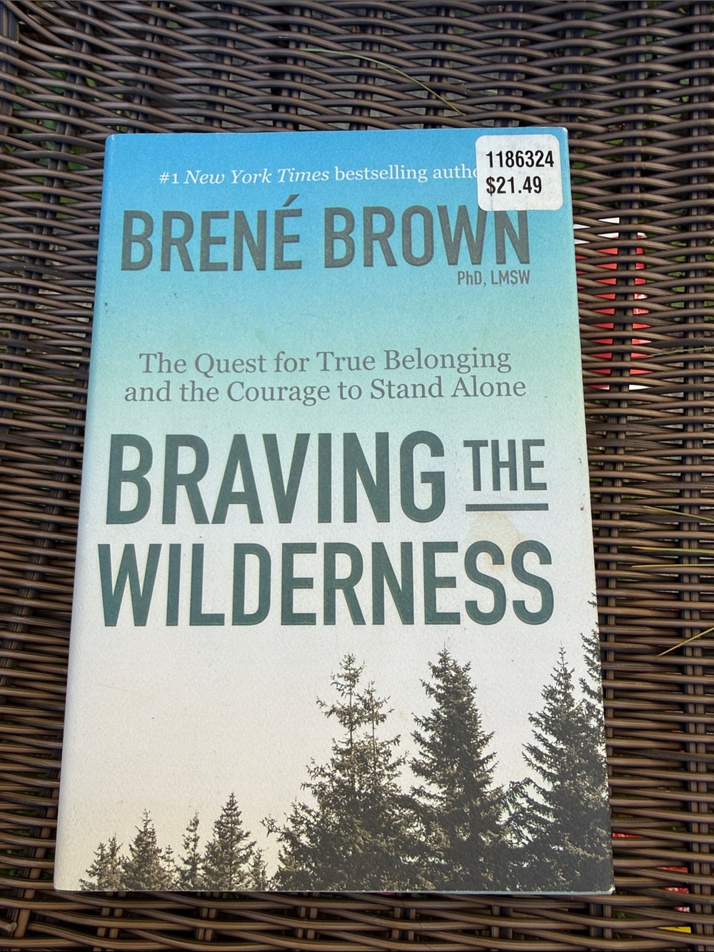 Braving the Wilderness by Brené Brown